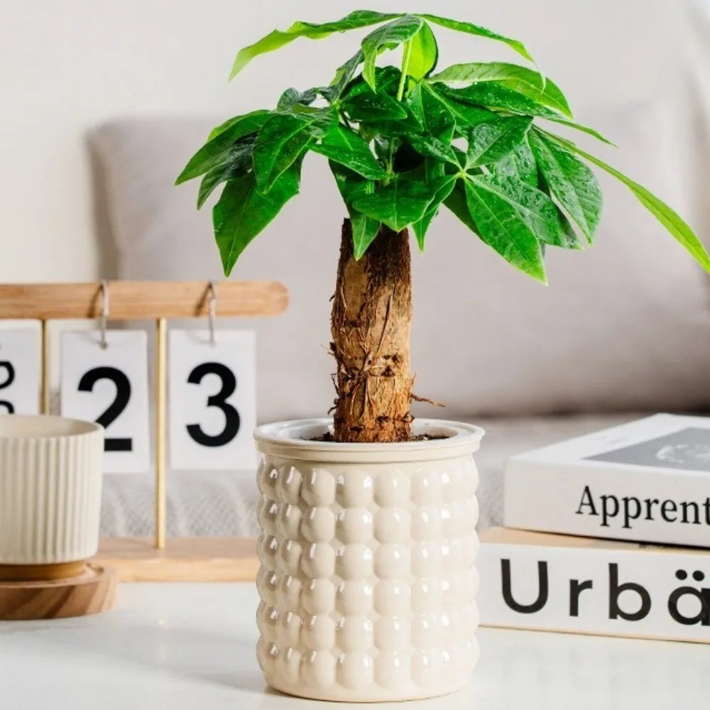 Creative Self Watering Hydroponic Plants Pot Plastic Removable Mini Succulent Planter Tabletop Vase Flowerpot