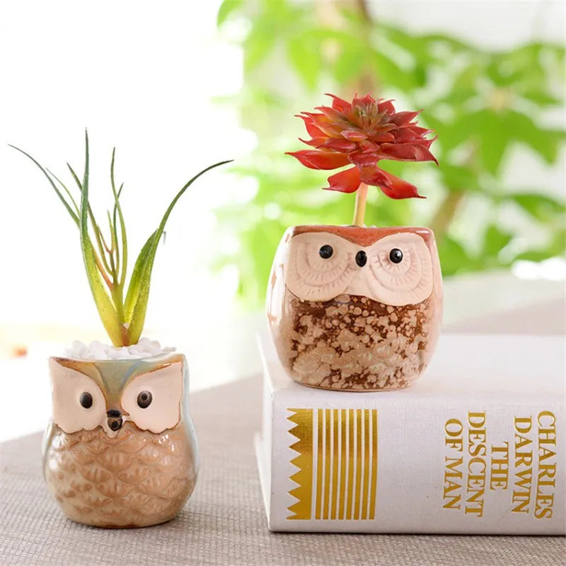 Flower Pots Creative Ceramic Mini Flowerpot Succulent Planter Cute Owl Plants Flower   Pot With Hole Garden Home Office Decor