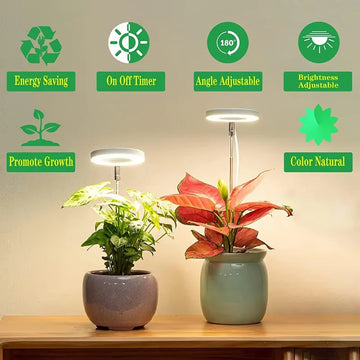 Full Spectrum Indoor Solar LED Growth Light, Four Gear Dimming, Fleshy Viridiplantae, Flower Floor Telescopic Fill Light