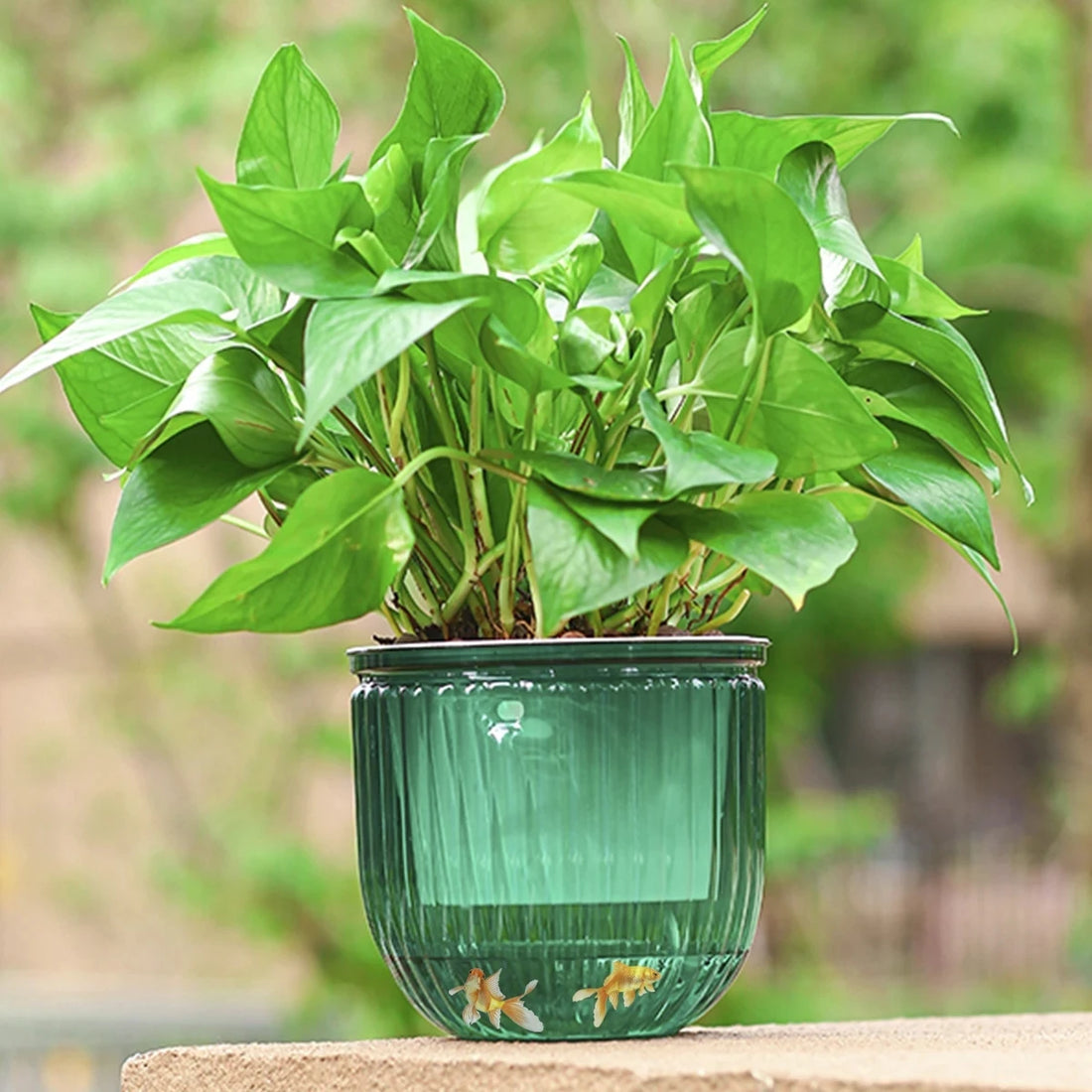 2Pcs Flowerpot Self Absorbing Water Hanging Planter Thickened Premium Planter Hydroponic Soil Cultivation Lazy Flower Pot Garden