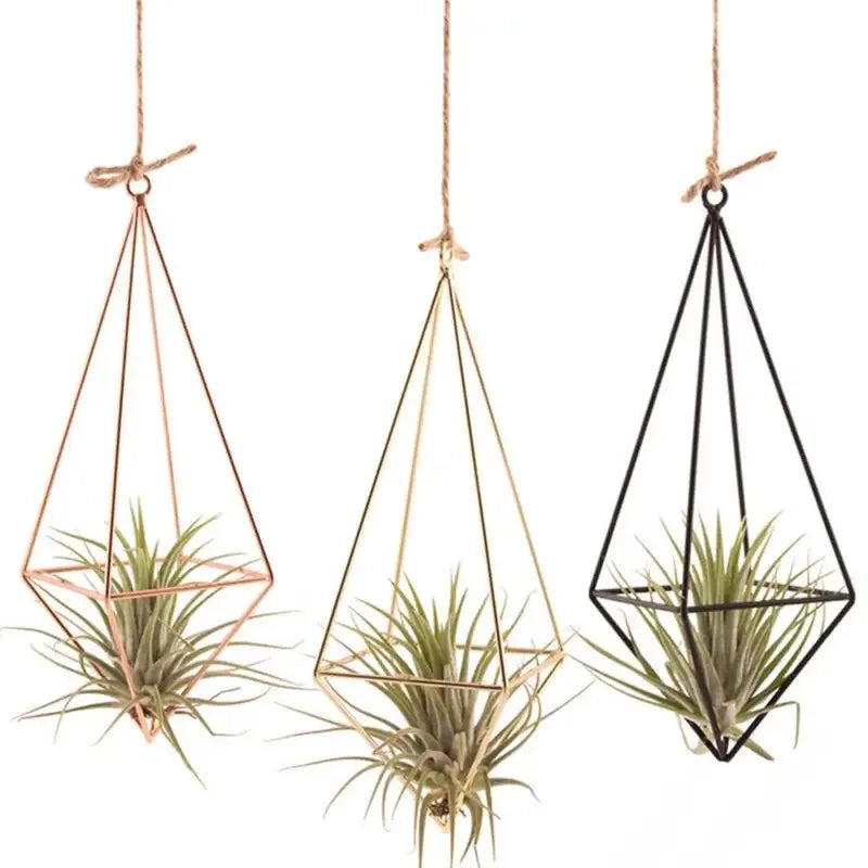 Wall-Mounted Modern Macrame Flower Hanger - Air Plant Stand, Ideal for Indoor, Garden & Courtyard Decoration