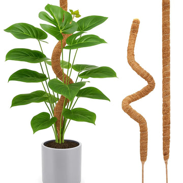 2pcs Bendable Moss Pole Monstera Plant Support, Plant Stakes for Indoor, Tall Plant Sticks Support for Climbing Plants