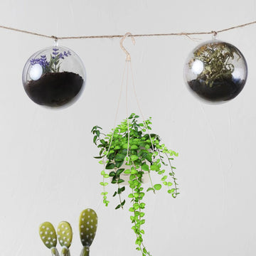 5Pcs Compact Flowerpot Hook Portable Durable for Home Office Living Room Bedroom Plastic Hanging Hooks Flower Plant Holders