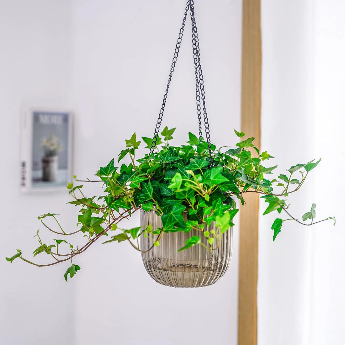 Plant Pot with Water Reservoir Hanging Self-watering Planter Self-watering Hanging Planters with Drainage Holes Stylish for Home