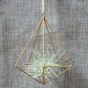 Garden Hanging geometric Outdoor Mounted Art Wall Hanger Decoration Furnishing Design Air