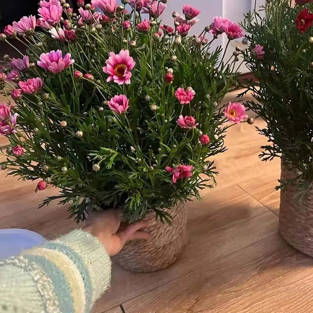 1Pcs For Garden Terraces Flower Pot Basket Rattan Straw Planter Basket Grass Woven Flowerpot Furniture Decoration Mini/S/M/L