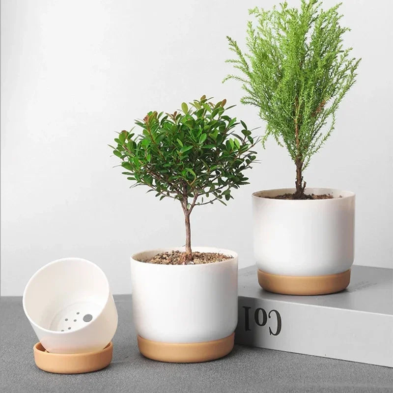 Small Imitation Ceramic Plastic Planter Mini Flower Containers Indoor with Drainage Hole for Succulents or Cactus -Large/Small