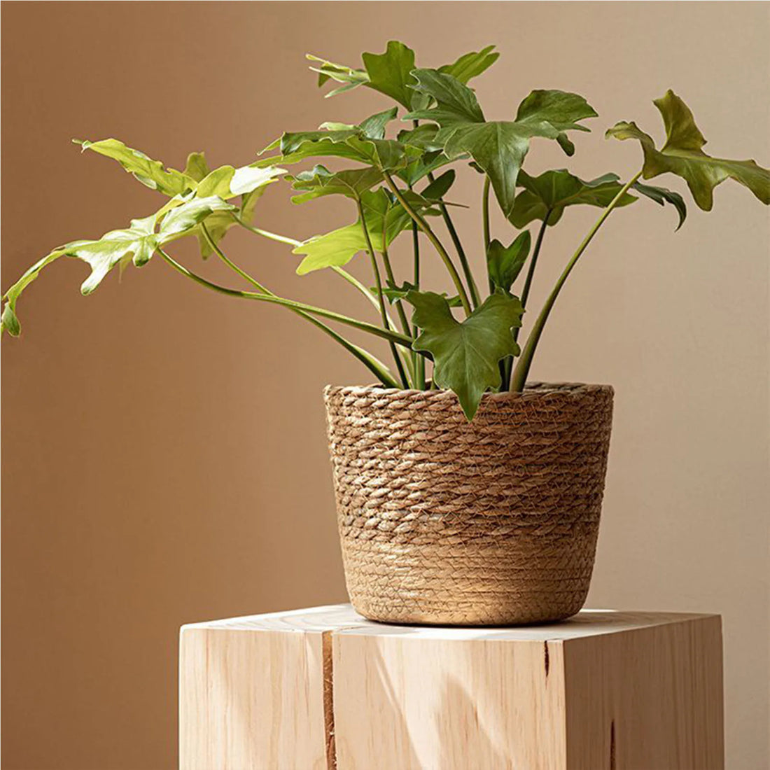 Natural Woven Flower Basket Straw Wicker Planter Storage Baskets Large Capacity Pots for Family Friend Neighbor Gift