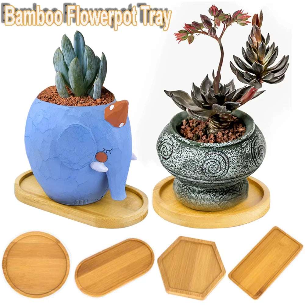 Simple Style Home Decoration Succulents Bonsai Holder Round Square Hexagon Rectangle Bamboo Wood Tray Flowerpot Base for Plants