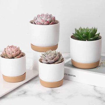 Small Imitation Ceramic Plastic Planter Mini Flower Containers Indoor with Drainage Hole for Succulents or Cactus -Large/Small