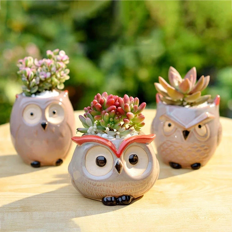 Mini Owl Cute Animal Minimalist Ceramic Meaty Small Flower Pot Garden Office Creative Flower Pot